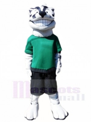 Grinning Badger Sports Mascot Costumes Animal