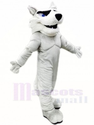 Grey Husky Dog Mascot Costumes Animal