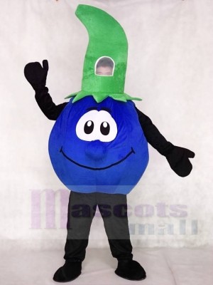 Bobby Blueberry Mascot Costumes Plant Fruit