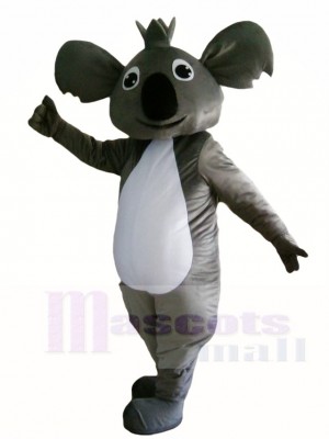 Koala Bear Mascot Costumes Animal 