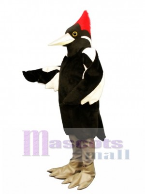 Cute Ivory Billed Woodpecker Mascot Costume