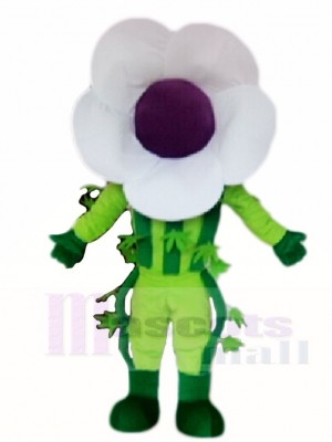 White Flower Mascot Costumes Plant