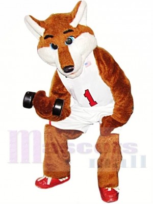 Basketball Sport Fox Mascot Costume 