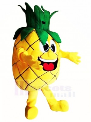 Top Quality Pineapple Mascot Costume