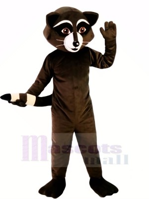 Wild Black Racoon Mascot Costumes Cartoon