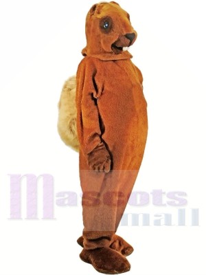 A Medium-brown Squirrel Mascot Costumes 