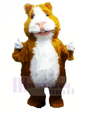 Cute Hamster Mascot Costumes Cartoon	