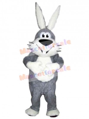 Happy Rabbit Mascot Costume Animal