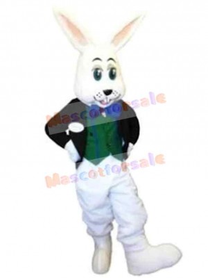 Rabbit Boy Mascot Costume Animal