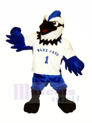 Blue Jay with White T-shirt Mascot Costumes