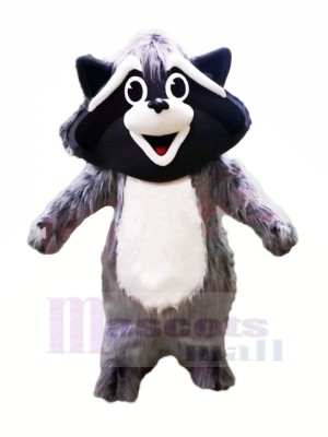 Cute Grey Raccoon Mascot Costumes Animal