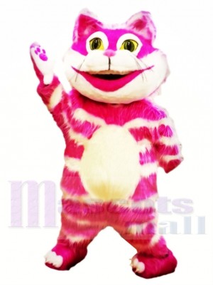 Cheshire Cat Mascot Costumes