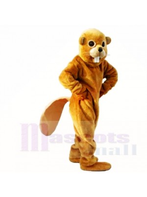 Friendly Yellow Lightweight Beaver Mascot Costumes Adult