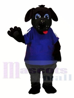 Black Dog with Big Eyes Mascot Costumes Animal