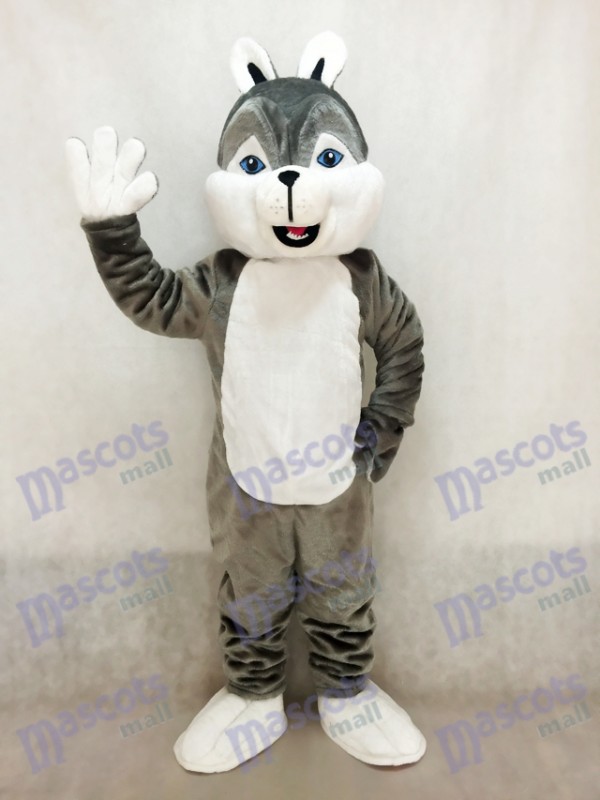 Cute Gray Husky Dog Mascot Costume